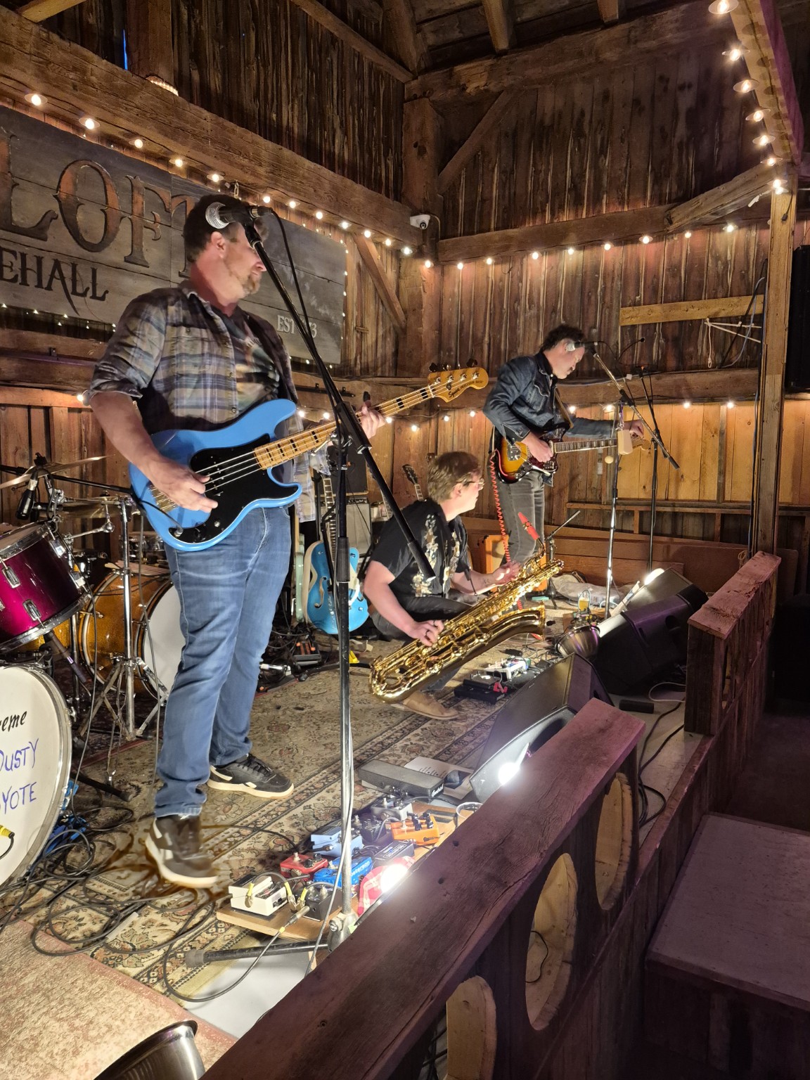Dusty Coyote performing live